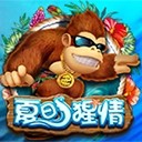 Www.yaxin55.net